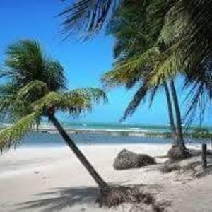 Meet your Posher, Nelson